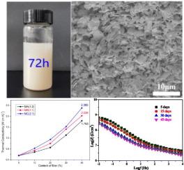 Enhanced thermal conductivity and anticorrosion capabilities of epoxy composite coating with quercetin-modified boron nitride