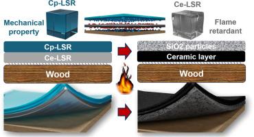 Effect of N-heterocyclic carbenes-Pt catalytic system and crosslinking networks on the pyrolytic behavior of liquid silicone rubber