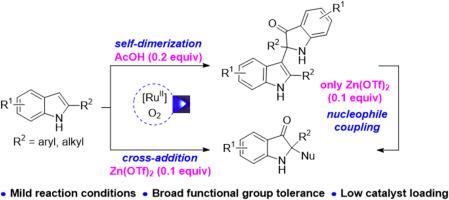 Photoredox-catalyzed self-dimerization and cross-addition as well as Zn(OTf)2-mediated nucleophile coupling: A novel route to structurally diverse 2,2-disubstituted indolin-3-ones