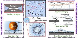 Influences of nanobubbles on particle–particle and bubble–particle interactions: A review