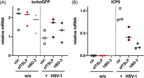 Short-form thymic stromal lymphopoietin (sfTSLP) restricts herpes simplex virus infection of human primary keratinocytes