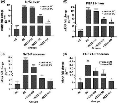 Enhanced Insulin Secretion Through Upregulation of Transcription Factors by Hydroalcoholic Extract of Securigera securidaca Seeds in Diabetic Animal Model