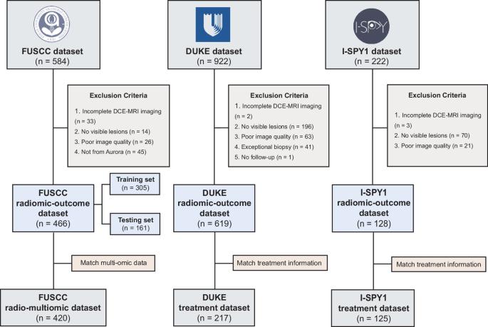 Multicenter radio-multiomic analysis for predicting breast cancer outcome and unravelling imaging-biological connection