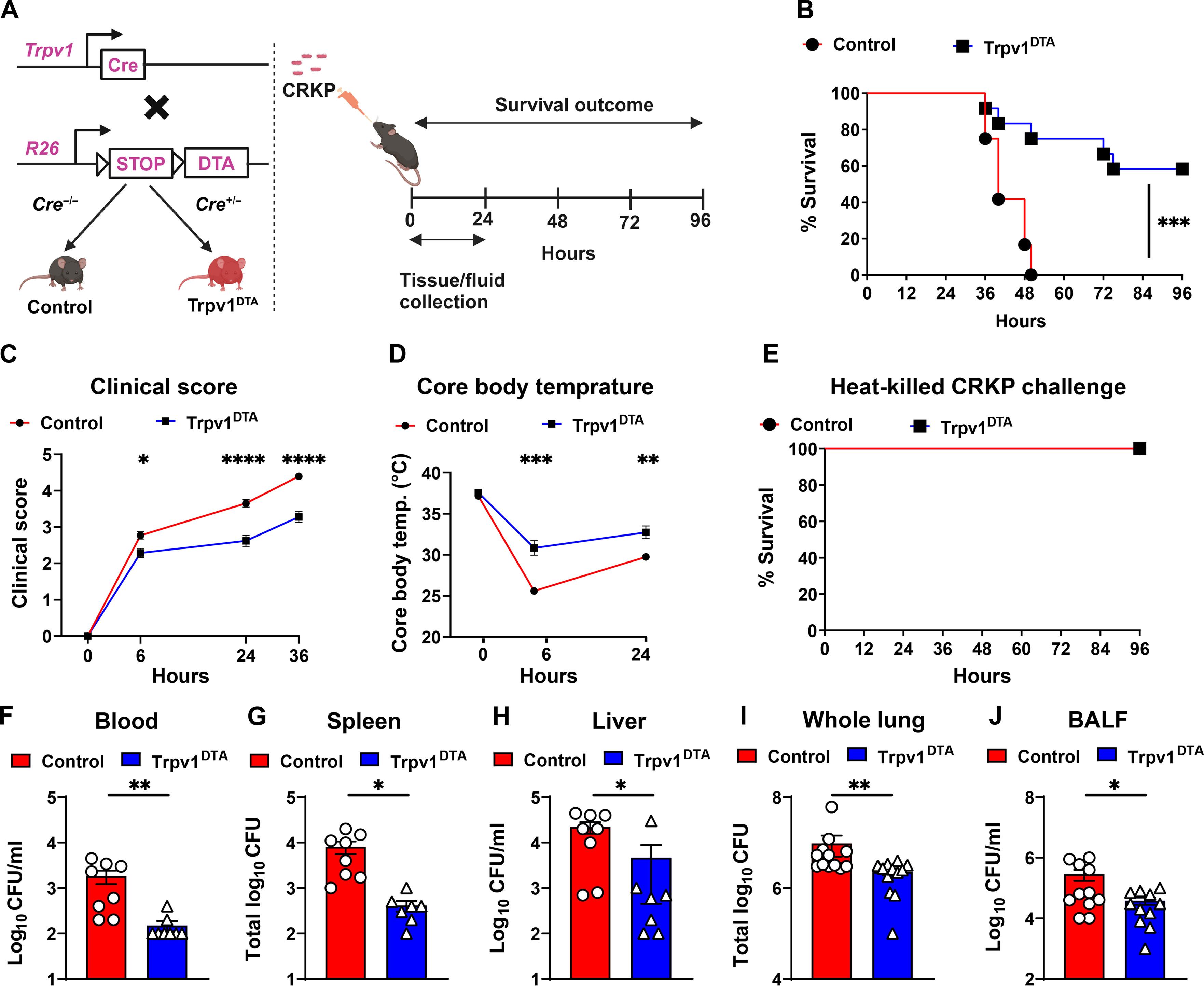 Lung-innervating nociceptor sensory neurons promote pneumonic sepsis during carbapenem-resistant Klebsiella pneumoniae lung infection