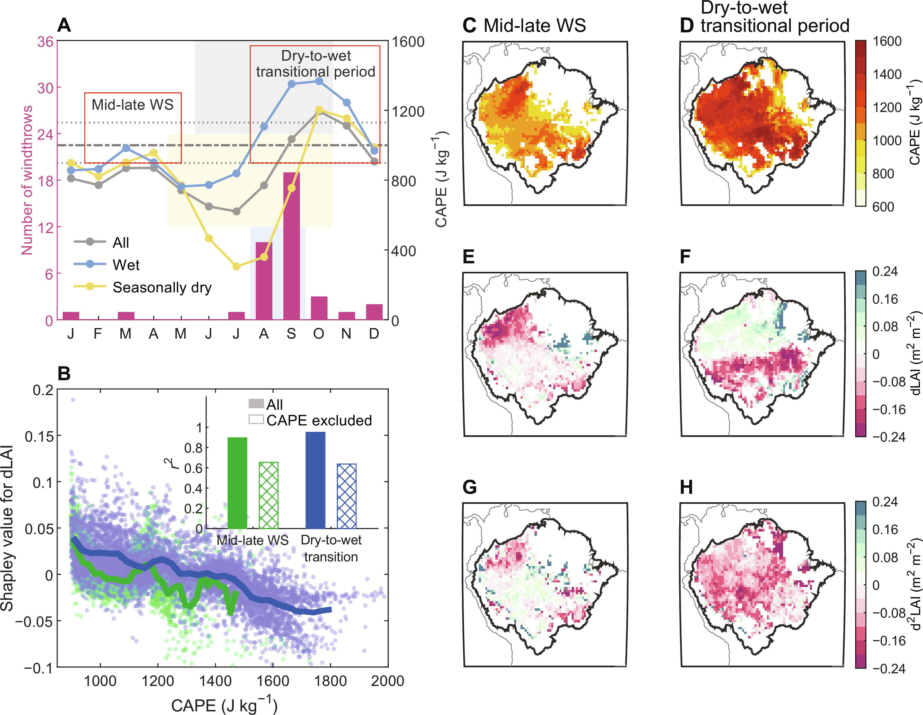 Water deficit and storm disturbances co-regulate Amazon rainforest seasonality