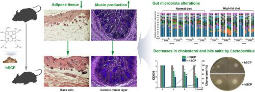 Dietary heme-enriched Corynebacterium extract exerts health benefits by reshaping gut microbiota