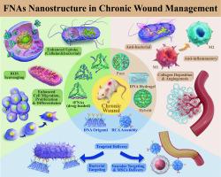 Advances in DNA nanotechnology for chronic wound management: Innovative functional nucleic acid nanostructures for overcoming key challenges