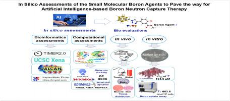 In silico assessments of the small molecular boron agents to pave the way for artificial intelligence-based boron neutron capture therapy