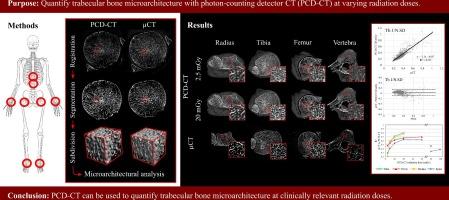 Quantification of bone microarchitecture using photon-counting CT at different radiation doses: A comparison with µCT