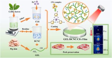 Gelatin-based composite film integrated with nanocellulose and extract-metal complex derived from coffee leaf for sustainable and active food packaging