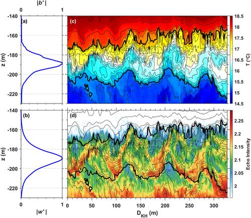 Turbulence Generation via Nonlinear Lee Wave Trailing Edge Instabilities in Kuroshio-Seamount Interactions