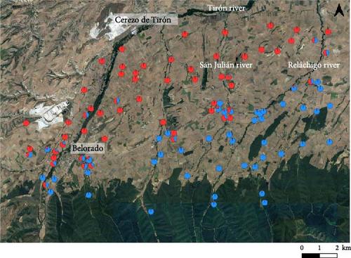 Association between Genetic Admixture and Morphological Patterns in a Hybrid Zone between the Two Iberian Vipers, Vipera aspis and V. latastei