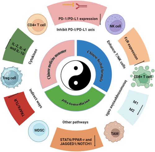 Chinese Medicines and Natural Medicine as Immunotherapeutic Agents for Gastric Cancer: Recent Advances