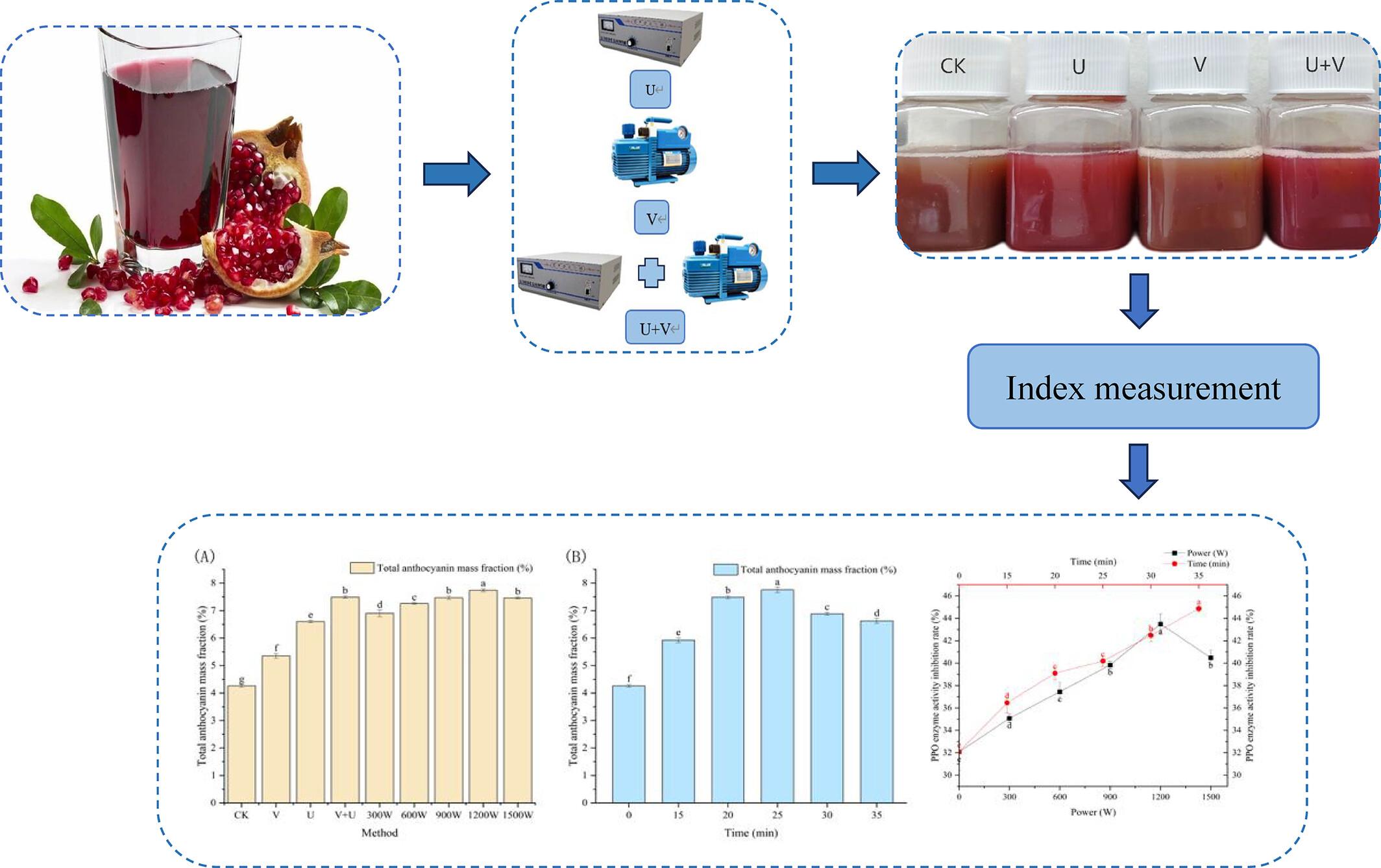 Effect of vacuum combined with ultrasound on color protection of pomegranate juice