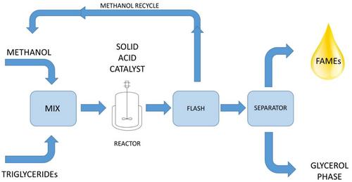 Sustainable Biofuel Production Utilizing Nanotechnology: Challenges and Potential Solutions