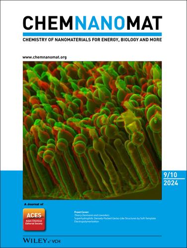 Front Cover: Superhydrophilic Densely-Packed Gecko-Like Structures by Soft-Template Electropolymerization (ChemNanoMat 9/2024)