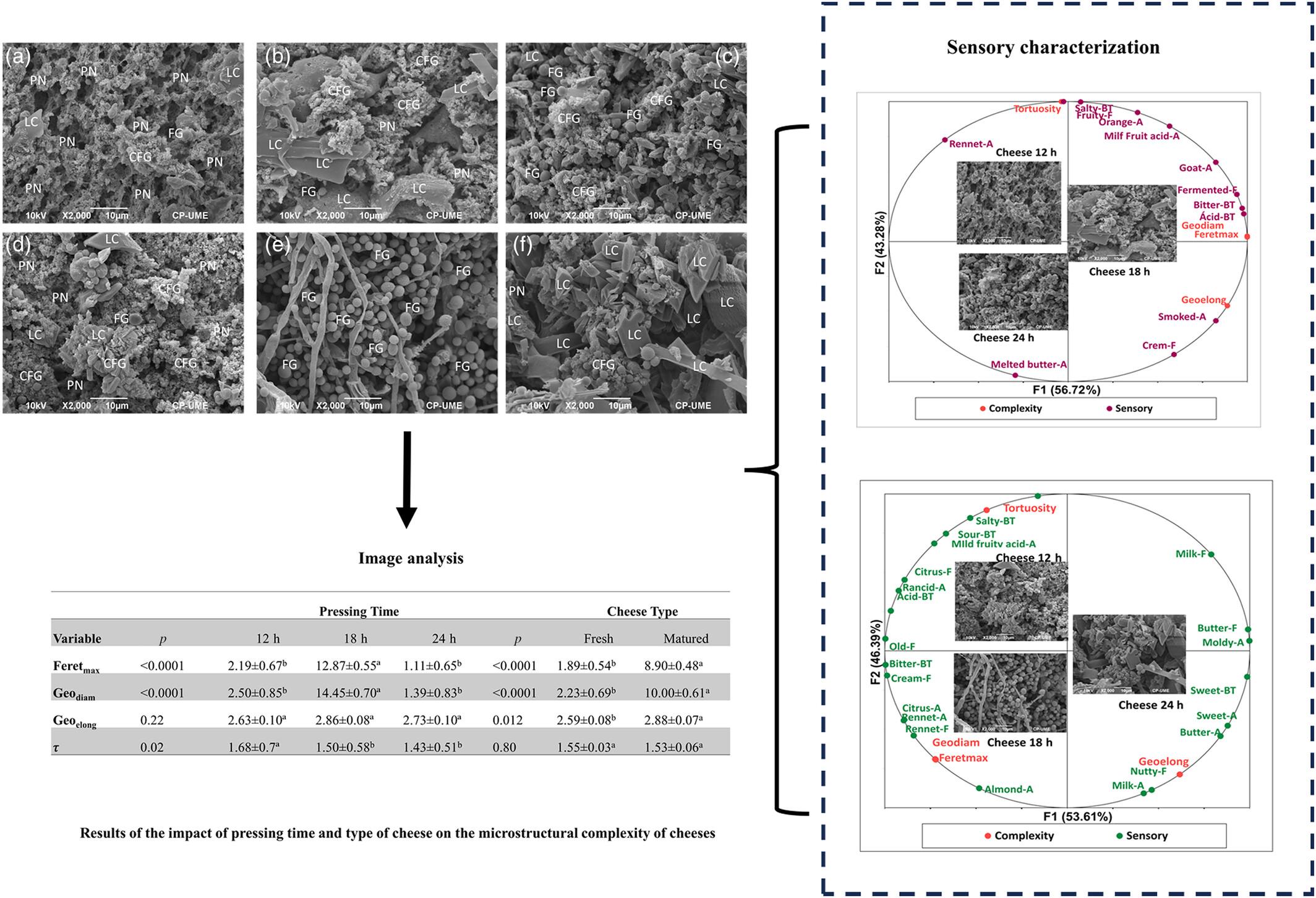 Impact of Pressing Time on the Microstructure of Two Types of Goat Cheeses and Its Relationship With Sensory Attributes