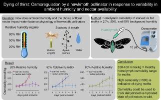 Dying of thirst: Osmoregulation by a hawkmoth pollinator in response to variability in ambient humidity and nectar availability