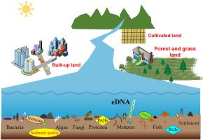 Biodiversity of multi-trophic biological communities within riverine sediments impacted by PAHs contamination and land use changes