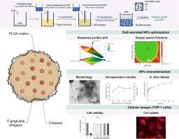 Optimization and evaluation of a chitosan-coated PLGA nanocarrier for mucosal delivery of Porphyromonas gingivalis antigens