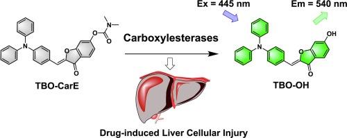 A fluorescent probe derived from triphenylamine-benzofuranone for monitoring carboxylesterases and its imaging in drug-induced liver cellular injury