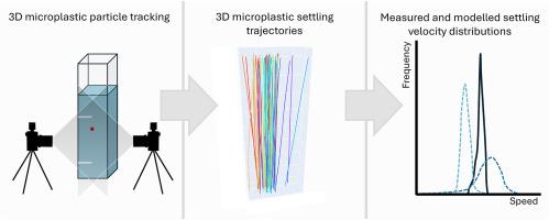 3D analysis of microplastic settling in algal suspensions