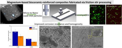 Magnesium-based bioceramic-enhanced composites fabricated via friction stir processing