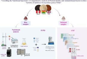 Unveiling the nutritional spectrum: A comprehensive analysis of protein quality and antinutritional factors in three varieties of quinoa (Chenopodium quinoa Wild)