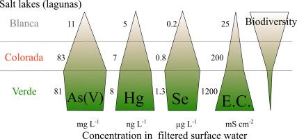 Arsenic, selenium, and mercury speciation in hypersaline lakes of the Andean Altiplano: Link between extreme levels and biodiversity repartition