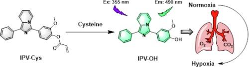 Developing a vanillin-derived imidazo-pyridin-containing fluorescent probe for imaging cysteine in living pulmonary cells under oxygen supply variation