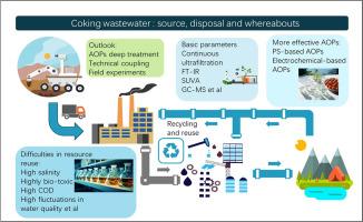 Prospects of advanced oxidation processes for high-salinity coking wastewater treatment: A strategy to support sustainable management