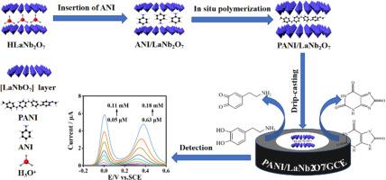 Synthesis of polyaniline/lanthanum niobate nanocomposites by in situ polymerization for the detection of dopamine and uric acid