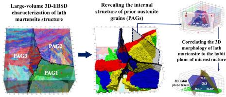 On the correlation between the habit plane and 3D morphology of lath martensite: A direct 3D observation using serial sectioning tomography of a low-carbon stainless steel