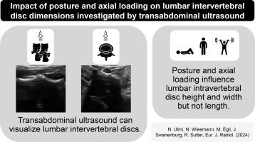 Impact of posture and axial loading on lumbar intervertebral disc dimensions investigated by transabdominal ultrasound