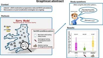 Evaluating the effectiveness & costs of strategies post-eradication to monitor for freedom from BVDV infection in Ireland