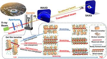 Structural evolution of low-entangled UHMWPE gel films with reserved shish crystals and different entanglement degrees during stretching