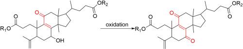 Anti-inflammatory 3,4-seco-triterpenoids from Ganoderma cochlear