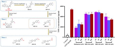 Structural optimization and bioactivity evaluation of 2-(Methylcarbonylamino) thiazole derivatives as novel PDE4B inhibitors