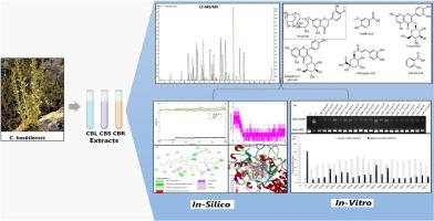 Phytochemical profiles, bioactivities, and molecular docking and molecular dynamics approaches of endemic Campanula baskilensis Behçet (campanulaceae)