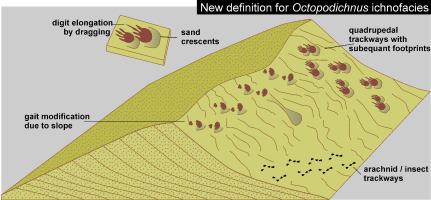 Are aeolian ichnofacies distinctive and useful? An analysis of trace fossil assemblages from Cretaceous aeolian facies in northern Patagonia, Argentina