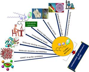 Synthesis, spectral characterization, biological, FMO, MEP, molecular docking, and molecular dynamics simulation studies of cytidine derivatives as antimicrobial and anticancer agents