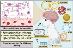 Advances in nanotherapeutic strategies for Huntington's disease: Design, delivery, and neuroprotective mechanisms