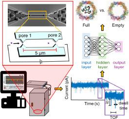 Single-capsid identification of full and empty status of recombinant adeno-associated viruses via resistive pulse sensing