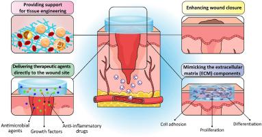 Nature-inspired healing: Biomimetic nanomaterials for advanced wound management