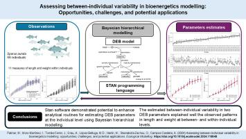 Assessing between-individual variability in bioenergetics modelling: Opportunities, challenges, and potential applications