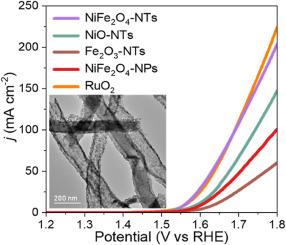 Thinly-walled NiFe2O4 nanotubes derived from Ni, Fe, N-codoped carbon nanofibers toward oxygen evolution reaction