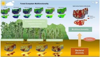 Spatial variations of the relationships between bacterial diversity and forest ecosystem multifunctionality in the Qinling Mountains, China