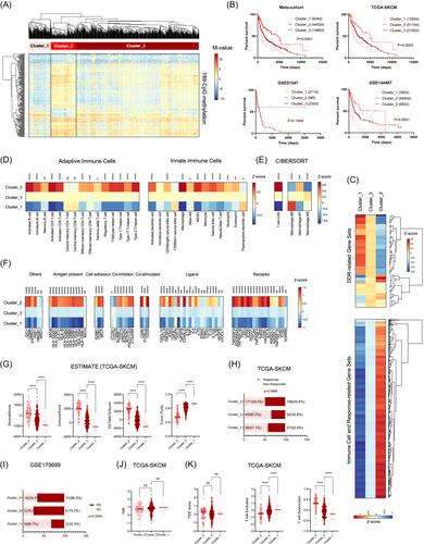 DNA methylation variations of DNA damage response correlate survival and local immune status in melanomas