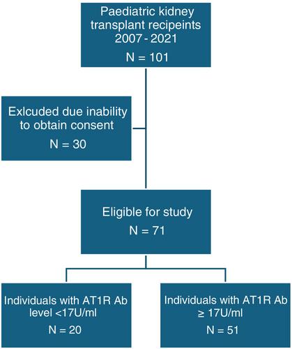 Effect of angiotensin II type 1 receptor antibodies on graft function and survival in paediatric kidney transplant recipients