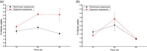 A thiourea-bridged 99mTc(CO)3-dipicolylamine-2-nitroimidazole complex for targeting tumor hypoxia: Utilizing metabolizable thiourea-bridge to improve pharmacokinetics